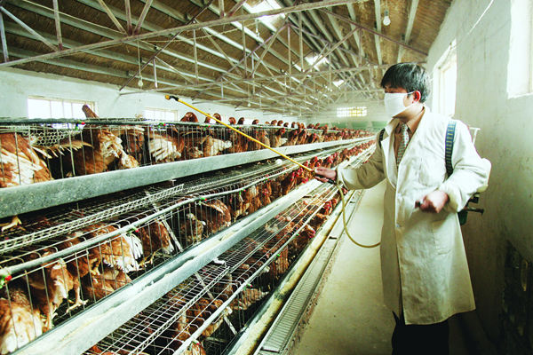 �����B(y��ng)ֳ����